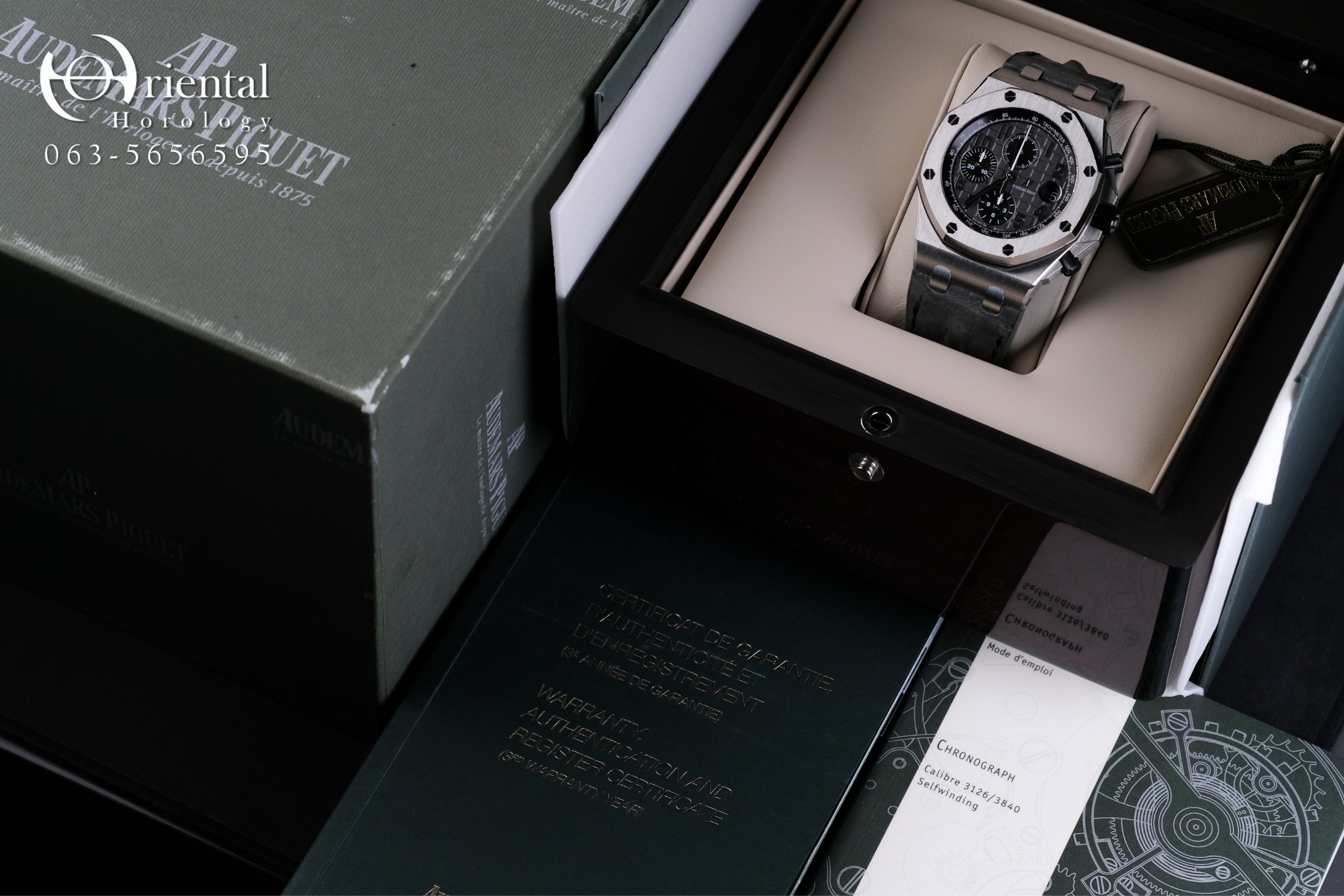 Audemars Piguet Royal Oak Offshore Grey Theme - Image 9