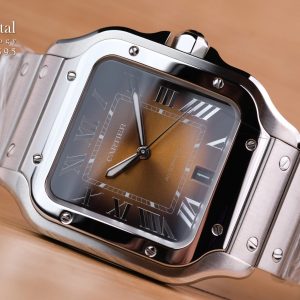 Santos De Cartier Brown Sunray Large Model