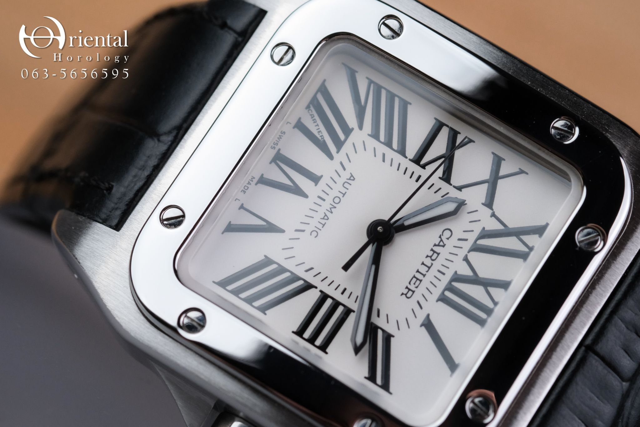 Cartier Santos 100 Medium Size - Image 3