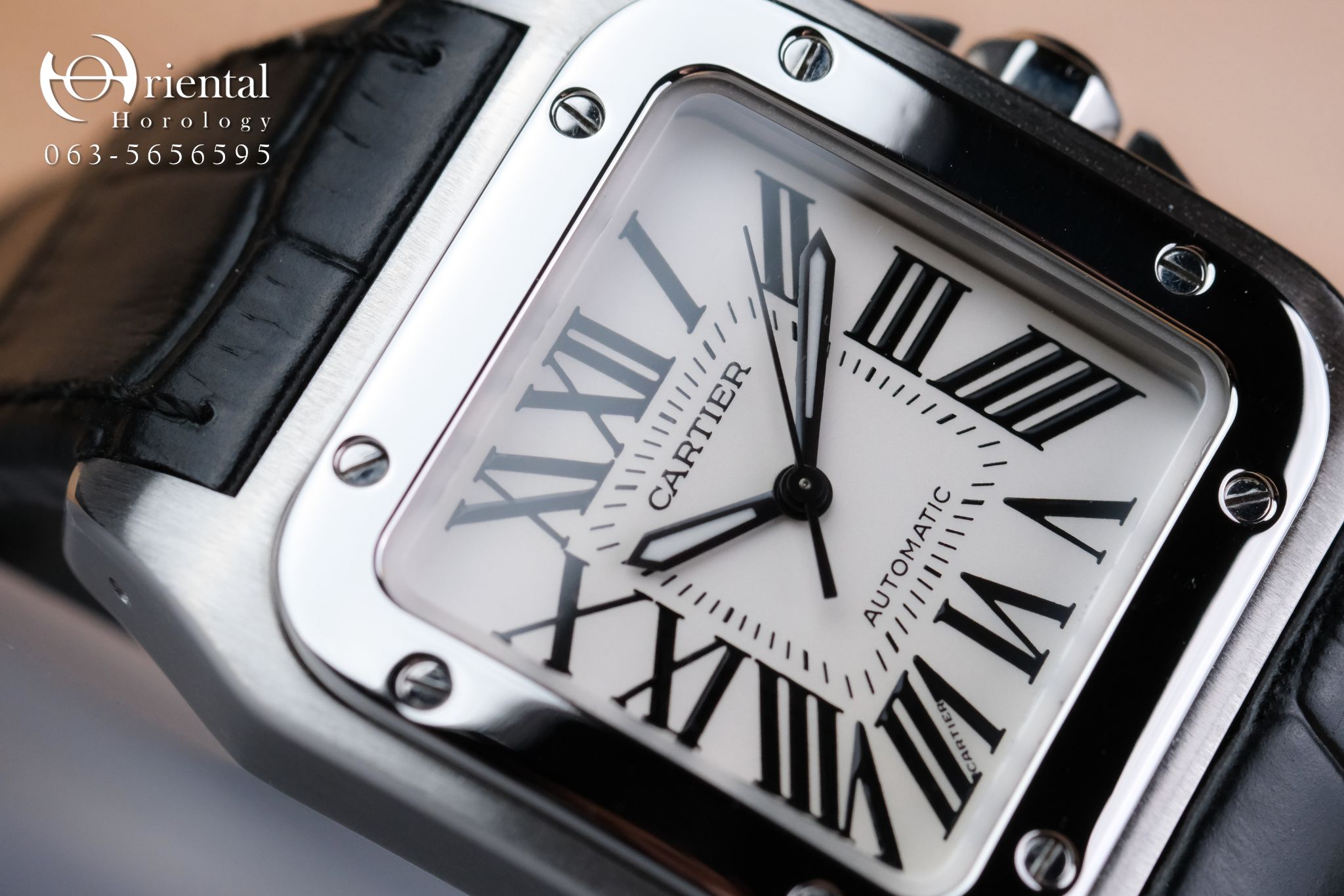 Cartier Santos 100 Medium Size - Image 2