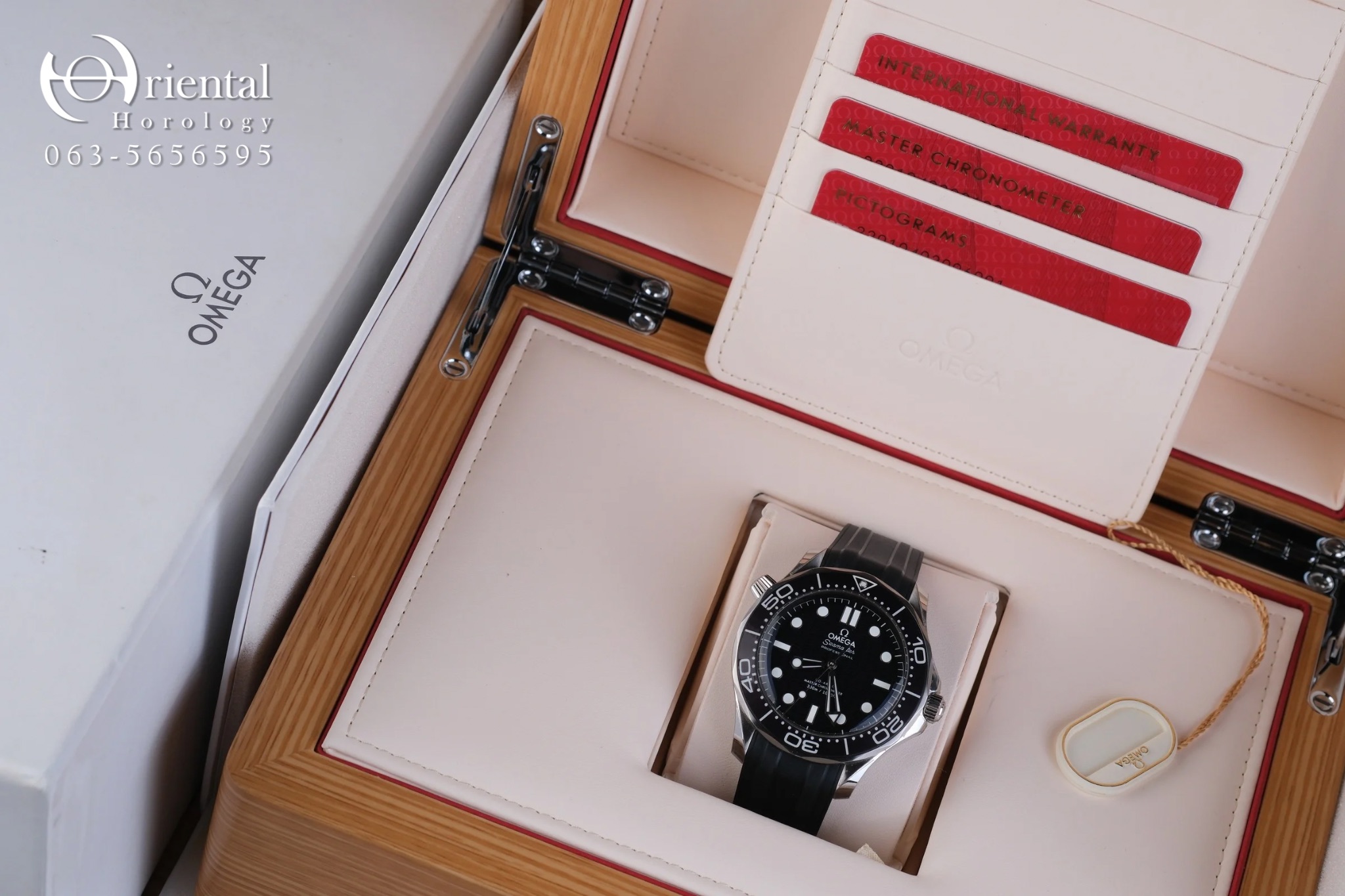 Omega Seamaster Diver 300M Co-Axial Master Chronometer - Image 10